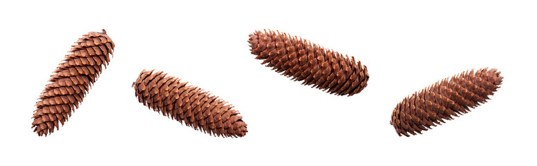 A collection of large, long open pinecones for Christmas tree decoration isolated against a flat background.