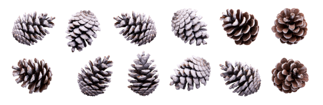 A collection of small pinecones with snow and frost on them for Christmas tree decoration isolated against a transparent background.