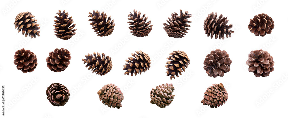 Wall mural A collection of small pinecones for Christmas tree decoration isolated against a transparent background.