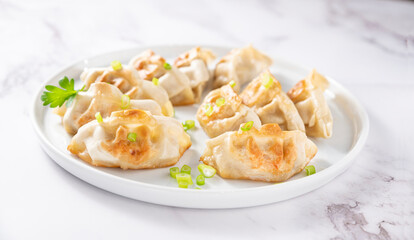 Fried dumplings . Gyoza. Healthy eating and young spring green onions. Asian food. Traditional asian Gyozas on a light background. 