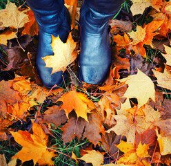 Beautiful Autumn nature background 