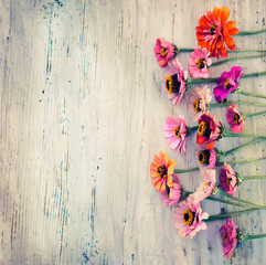 Beautiful colorful flowers over texture rustic background 