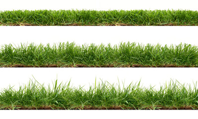 A collection of real grass borders, short, medium and long grass edges isolated on a transparent background.