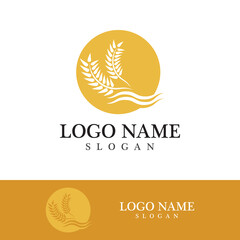 Agriculture wheat vector