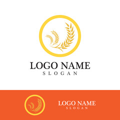 Obraz premium Agriculture wheat vector