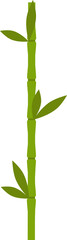 bamboo design illustration isolated on transparent background
