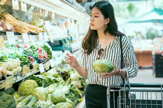 portrait beautiful asian urban lady is selecting fresh cabbages with concentration at the produce section while shopping in the local supermarket.