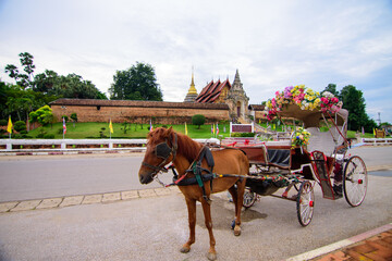 Naklejka na ściany i meble Ancient horse carriage waiting for tourists at Wat Phra That Lampang Luang, Lampang Province, Lampang, Thailand.