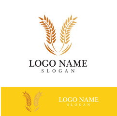 Obraz premium Agriculture wheat vector