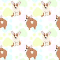 Seamless pattern with dog accessories.