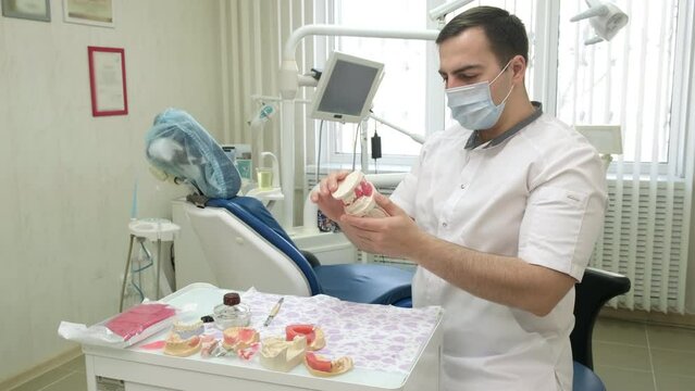 Dental technician holding plaster cast of jaws in dental office