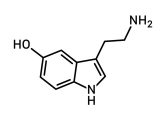 Serotonin or 5-hydroxytryptamine molecular structure with letters line vector icon for apps and websites