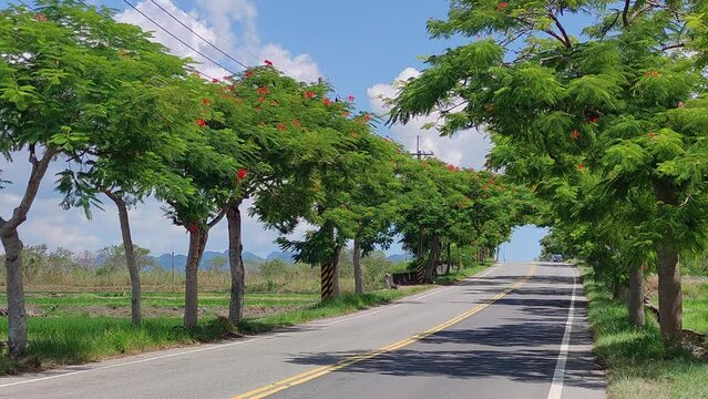 View of the mountains at Luye highland, Taitung