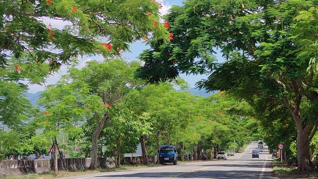 View of the mountains at Luye highland, Taitung