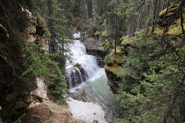 Obraz na płótnie Canvas waterfall in johnston canyon banff national park