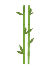bamboo vector design illustration isolated on white background
