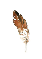 Watercolor boho colorful brown feather illustration isolated single element. Cute drawing,nursery decor, woodland design for baby shower,greeting card, bohemian wedding, it's a boy, it's a girl diy	
