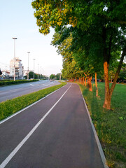 road in summer
