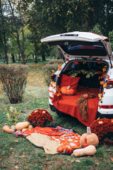 autumn decor with a pumpkin and a red plaid against the background of a white car yellow leaves