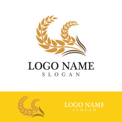 Agriculture wheat vector