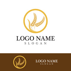 Agriculture wheat vector