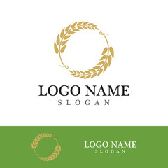 Agriculture wheat vector