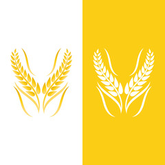 Agriculture wheat vector