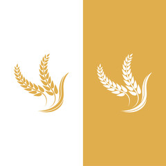 Agriculture wheat vector