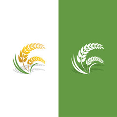 Agriculture wheat vector