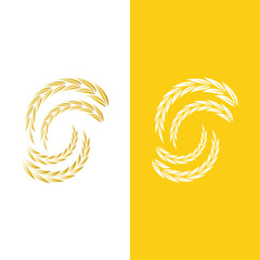 Agriculture wheat vector