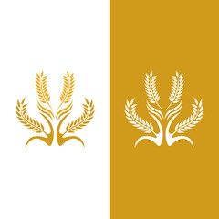 Agriculture wheat vector