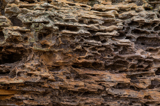 Textura de rocha quartzito 