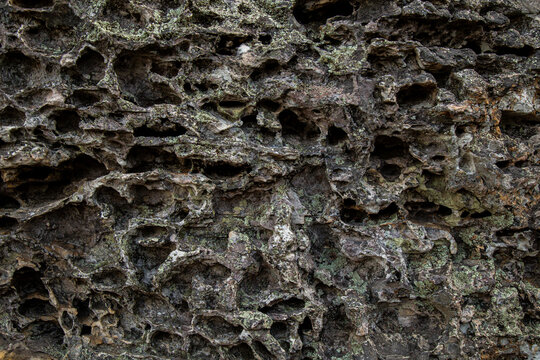 Textura de rocha quartzito 