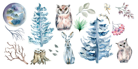 Set of owls, hare, spruce and moon watercolor illustration isolated on white background.