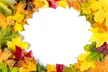 Naklejka na ściany i meble Circle frame of Autumn bright colorful maple leaves on white. Top view with copy space