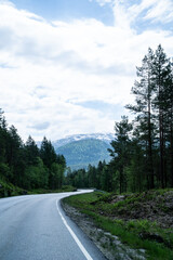 Fototapeta na wymiar Landscape of a winding road through a forest with snow-capped mountains in the background.