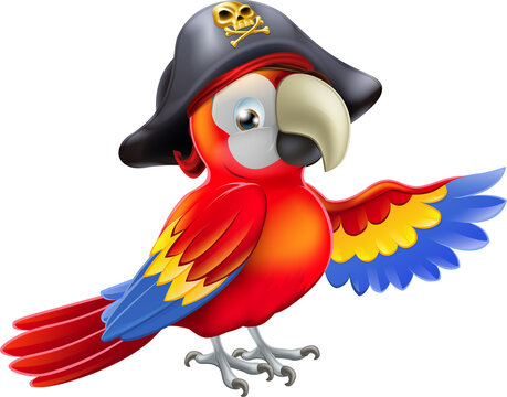 Cartoon pirate parrot