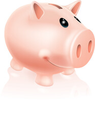Piggy Bank Character