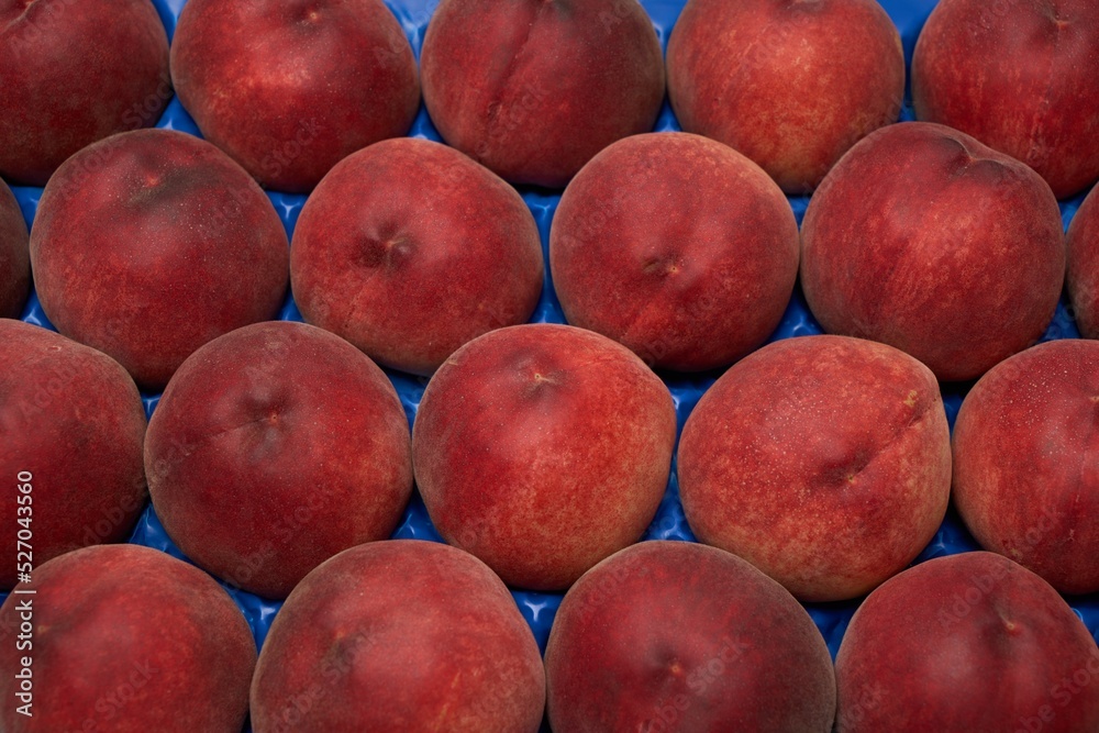 Poster freshly harvested ripe red apples ready to be sell