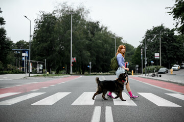 Naklejka premium Beautiful woman with dog together crossing the street at crosswalk stripes