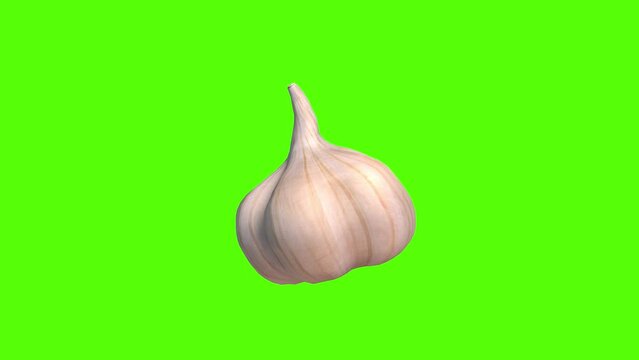 realistic garlic rotating on itself - chroma key 3D animation
