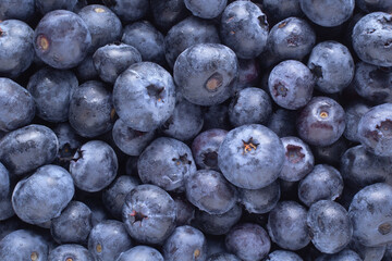 Closeup view of fresh blueberries