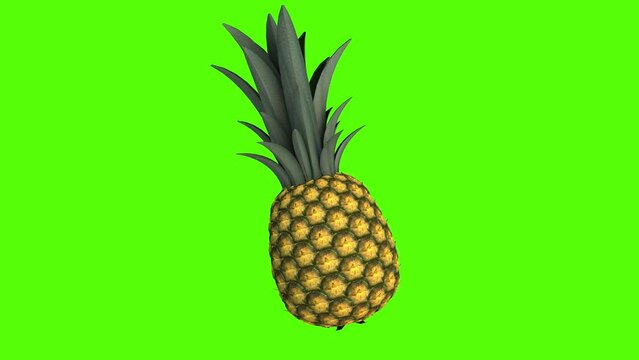 realistic pineapple rotating on itself - chroma key 3D animation