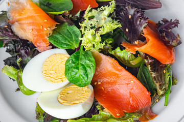 salmon salad red fish appetizer fresh dish healthy meal food snack diet on the table copy space food background rustic top view keto or paleo diet veggie vegetarian food no meat pescatarian diet 
