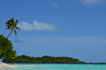 Fototapeta na wymiar Beach loungers on paradisiacal island beach with palm tree