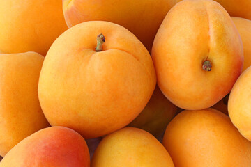 The big flat apricots as a full frame. Background
