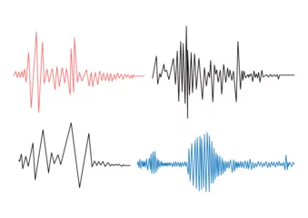 Foto op Canvas Earthquake seismogram waves set. Seismograph vibration recording chart collection. Polygraph lie detector diagram record. Audio wave, wind or tempetature measurement graph. Vector illustration. © Irina