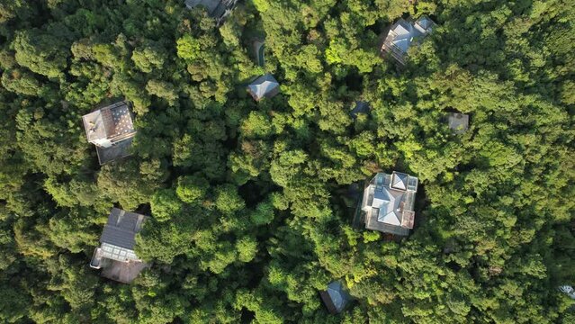 Aerial photography of a dwelling in the forest