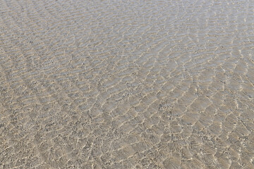 shallow water in the sunshine