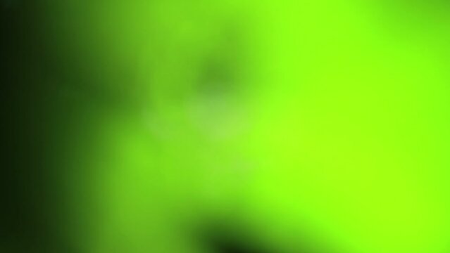 Blurred art garden in green color video